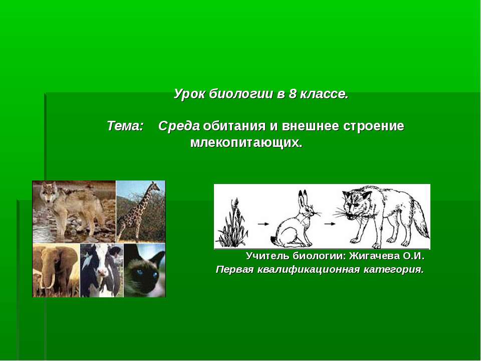 Среда обитания и внешнее строение млекопитающих  - Скачать презентации бесплатно | Читать или скачать учебники для школы онлайн бесплатно ☑ Школьные учебники school-textbook.com