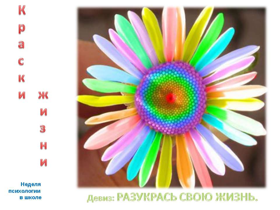 Цветодиагностика - Скачать презентации бесплатно ☑ Презентации по предметам на gdz-books.ru