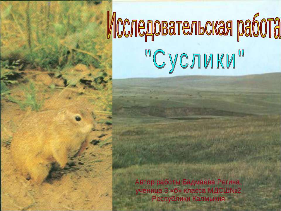 Суслики - Скачать презентации бесплатно ☑ Презентации по предметам на gdz-books.ru