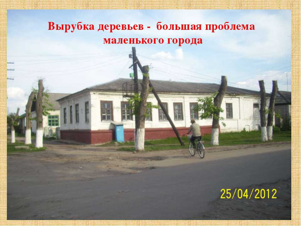 Вырубка деревьев - большая проблема маленького города - Скачать презентации бесплатно ☑ Презентации по предметам на gdz-books.ru