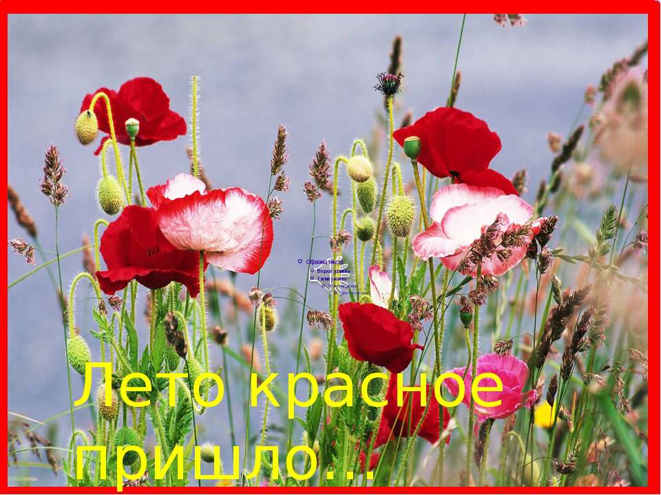 Лето красное пришло - Скачать презентации бесплатно ☑ Презентации по предметам на gdz-books.ru