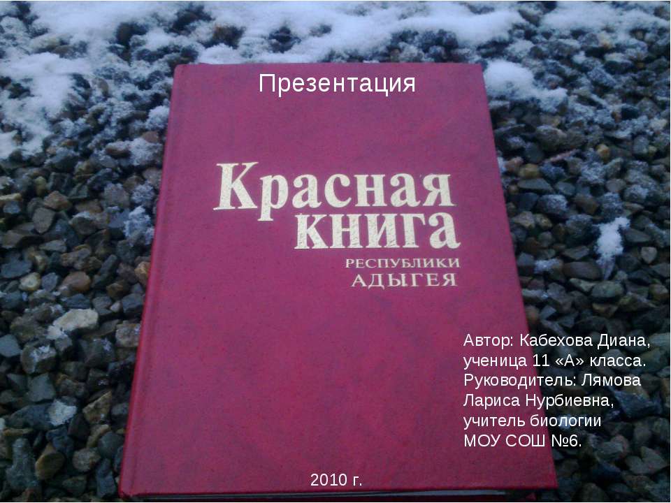 Красная книга республики Адыгея - Скачать презентации бесплатно ☑ Презентации по предметам на gdz-books.ru