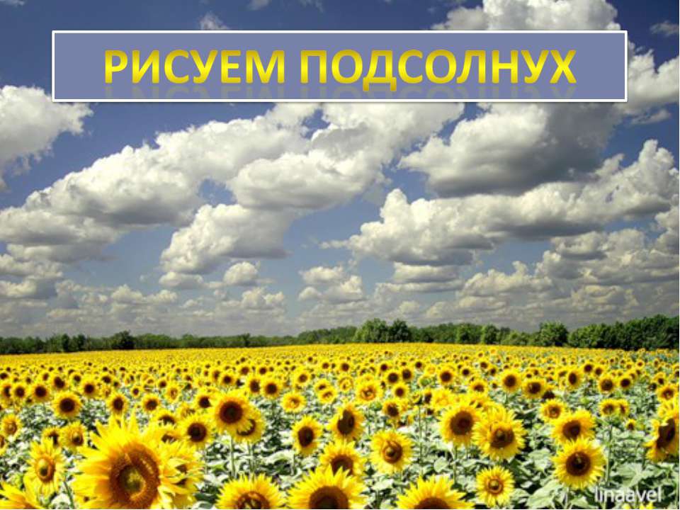 Рисуем подсолнух  - Скачать презентации бесплатно | Читать или скачать учебники для школы онлайн бесплатно ☑ Школьные учебники school-textbook.com