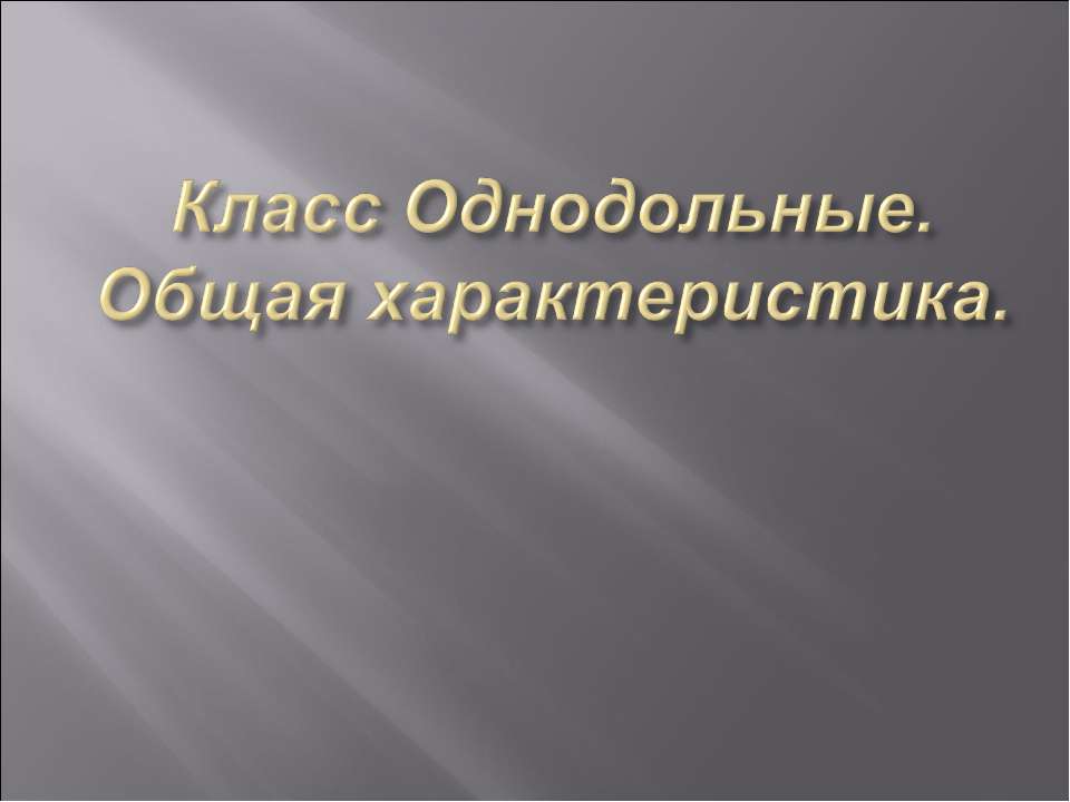 Класс Однодольные. Общая характеристика  - Скачать презентации бесплатно | Читать или скачать учебники для школы онлайн бесплатно ☑ Школьные учебники school-textbook.com