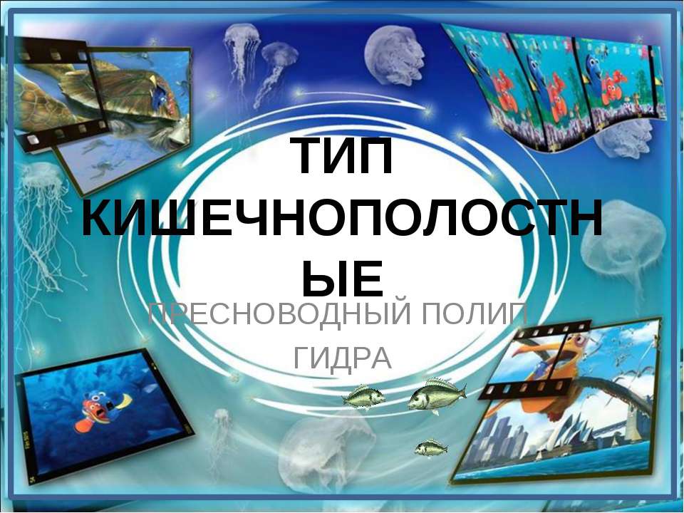 Тип кишечнополостные Пресноводный полип гидра  - Скачать презентации бесплатно | Читать или скачать учебники для школы онлайн бесплатно ☑ Школьные учебники school-textbook.com