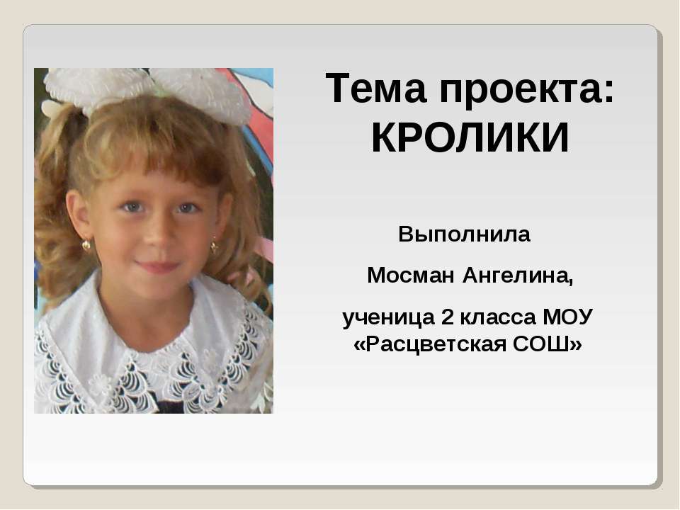 Кролики - Скачать презентации бесплатно ☑ Презентации по предметам на gdz-books.ru