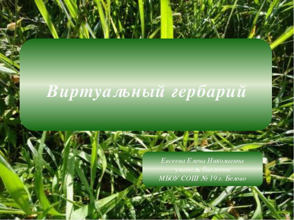 Виртуальный гербарий - Скачать презентации бесплатно ☑ Презентации по предметам на gdz-books.ru
