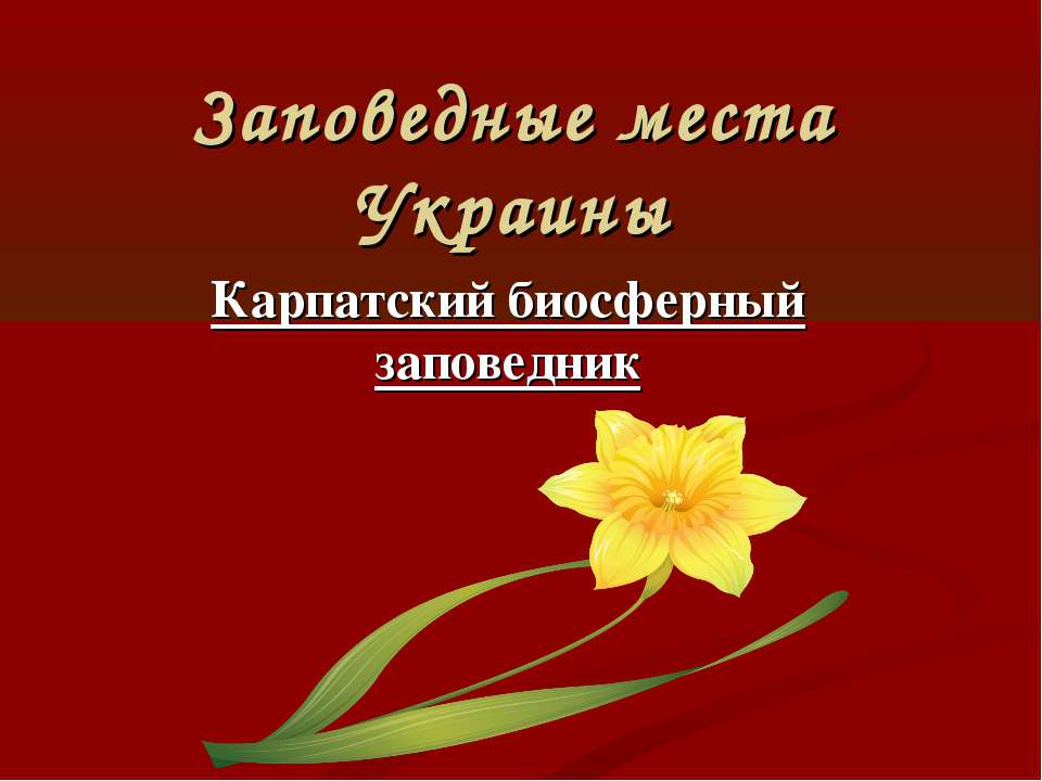 Заповедные места Украины. Карпатский биосферный заповедник  - Скачать презентации бесплатно | Читать или скачать учебники для школы онлайн бесплатно ☑ Школьные учебники school-textbook.com