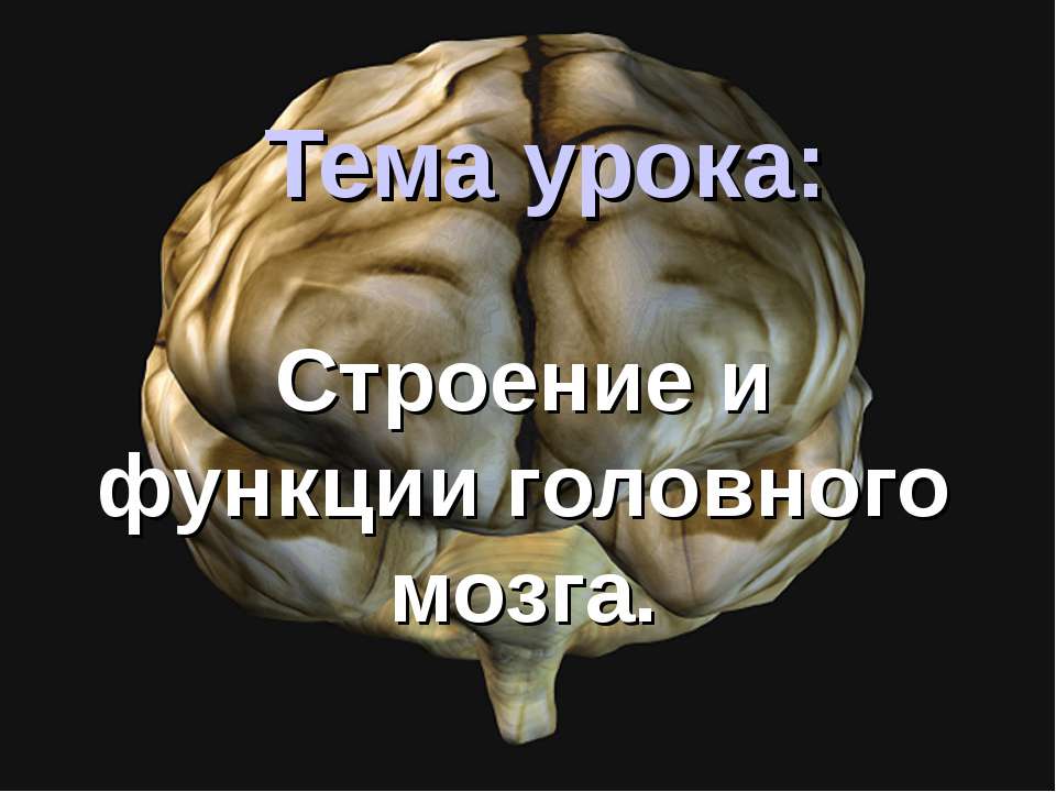 Строение и функции головного мозга  - Скачать презентации бесплатно | Читать или скачать учебники для школы онлайн бесплатно ☑ Школьные учебники school-textbook.com