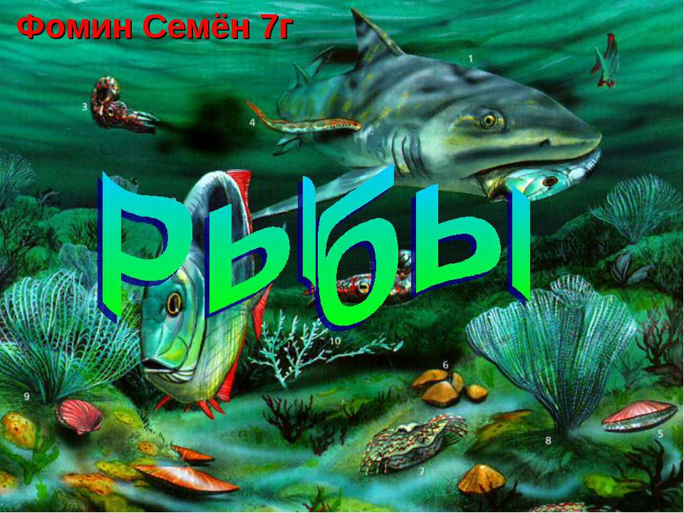 Рыбы - Скачать презентации бесплатно ☑ Презентации по предметам на gdz-books.ru
