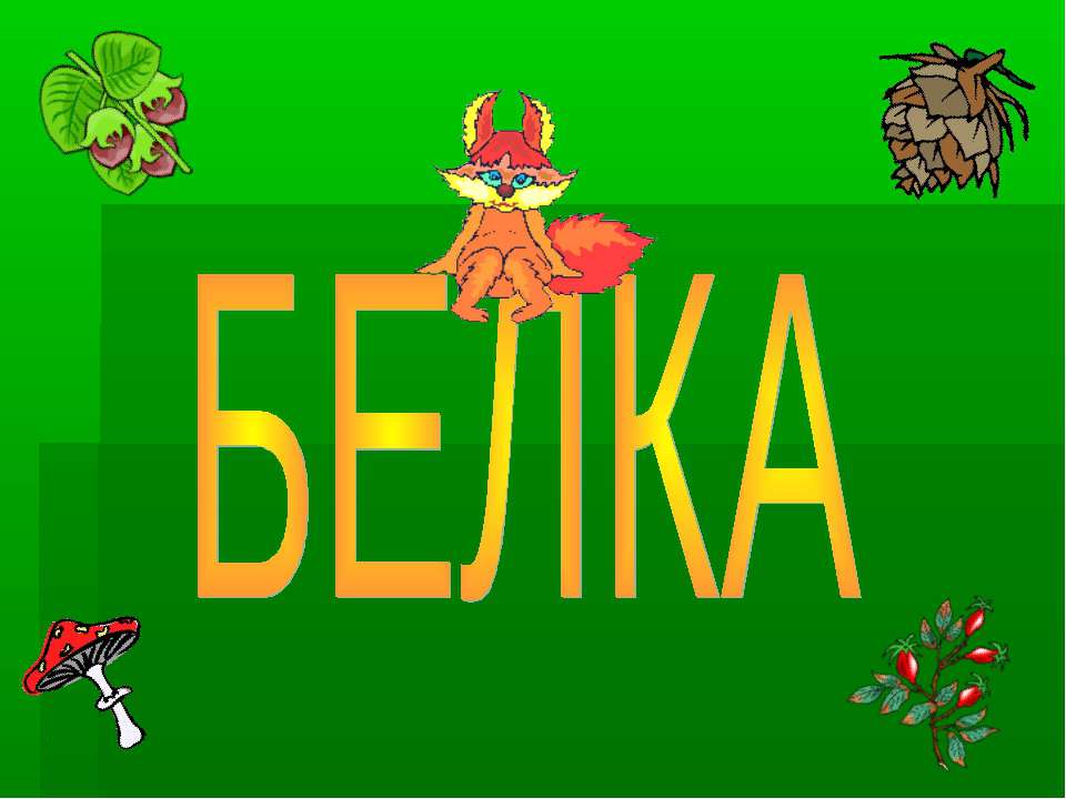 Белка  - Скачать презентации бесплатно | Читать или скачать учебники для школы онлайн бесплатно ☑ Школьные учебники school-textbook.com