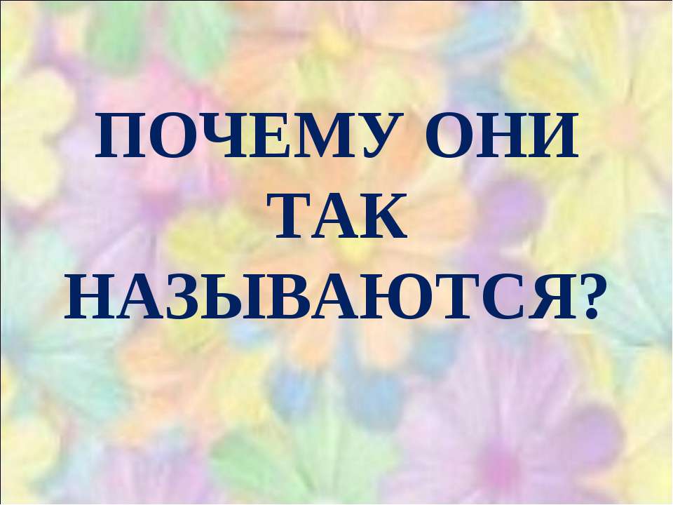 Почему они так называются?  - Скачать презентации бесплатно | Читать или скачать учебники для школы онлайн бесплатно ☑ Школьные учебники school-textbook.com