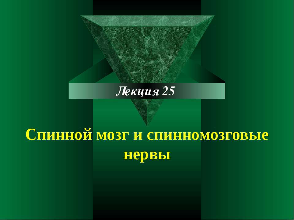 Cпинной мозг и спинномозговые нервы - Скачать презентации бесплатно ☑ Презентации по предметам на gdz-books.ru