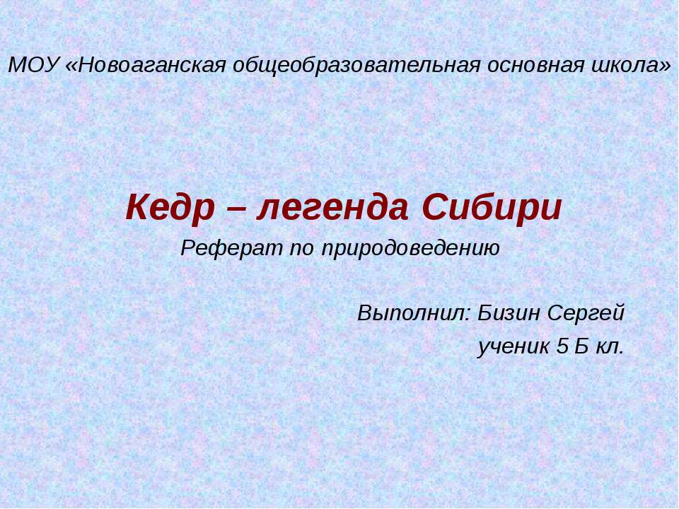 Кедр – легенда Сибири - Скачать презентации бесплатно ☑ Презентации по предметам на gdz-books.ru