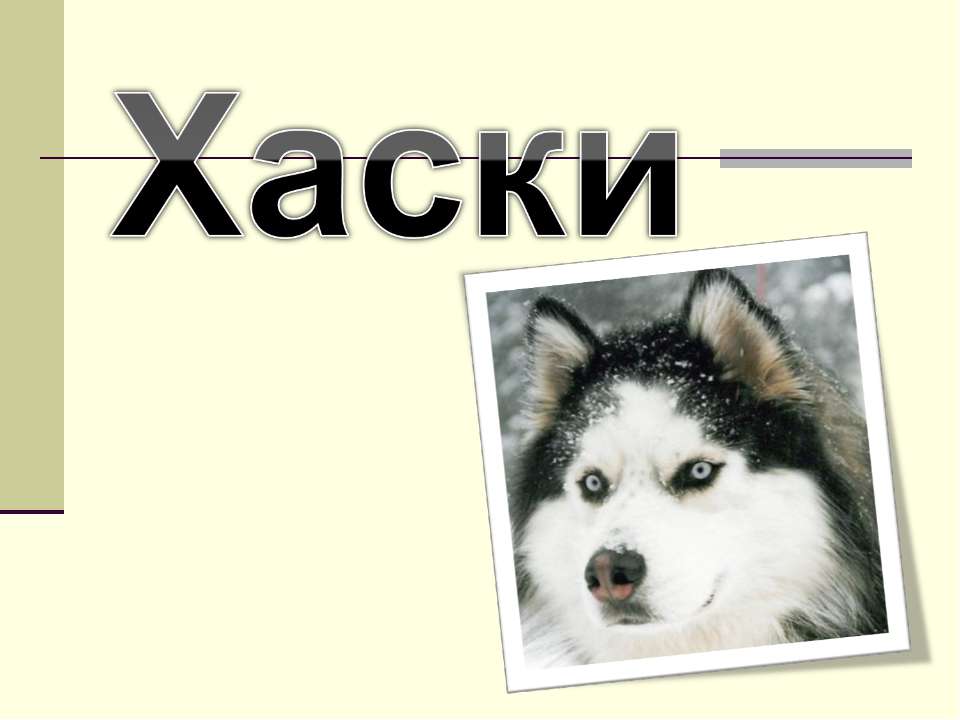 Хаски - Скачать презентации бесплатно ☑ Презентации по предметам на gdz-books.ru