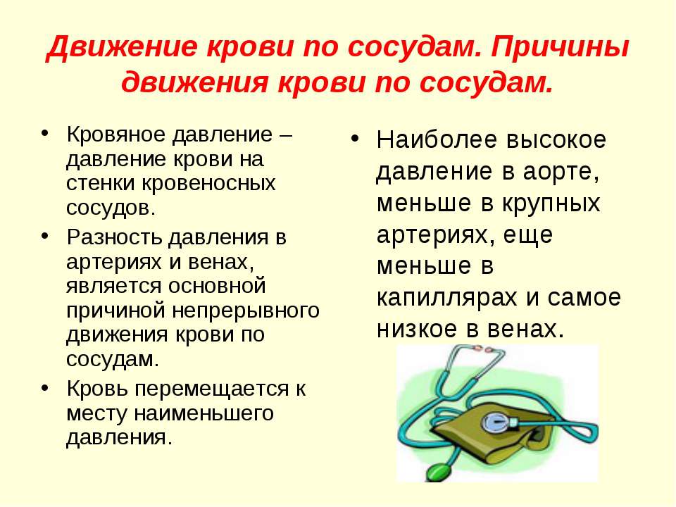 Движение крови по сосудам. Причины движения крови по сосудам  - Скачать презентации бесплатно | Читать или скачать учебники для школы онлайн бесплатно ☑ Школьные учебники school-textbook.com