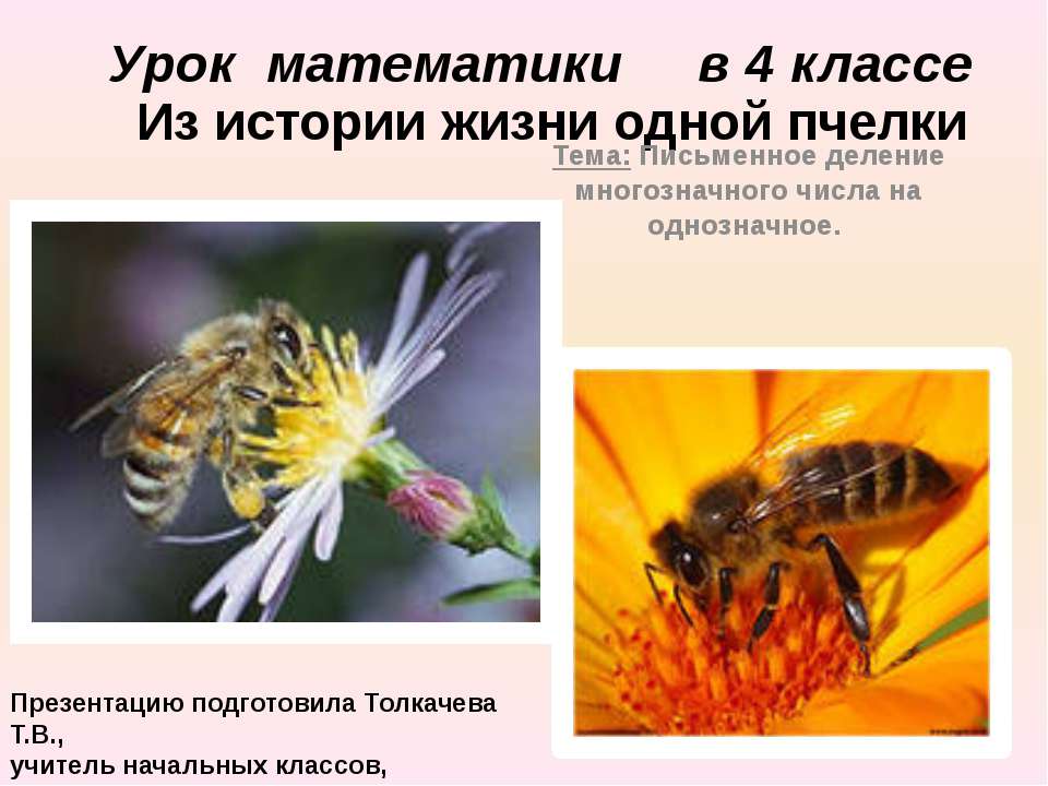 Письменное деление многозначного числа на однозначное  - Скачать презентации бесплатно | Читать или скачать учебники для школы онлайн бесплатно ☑ Школьные учебники school-textbook.com
