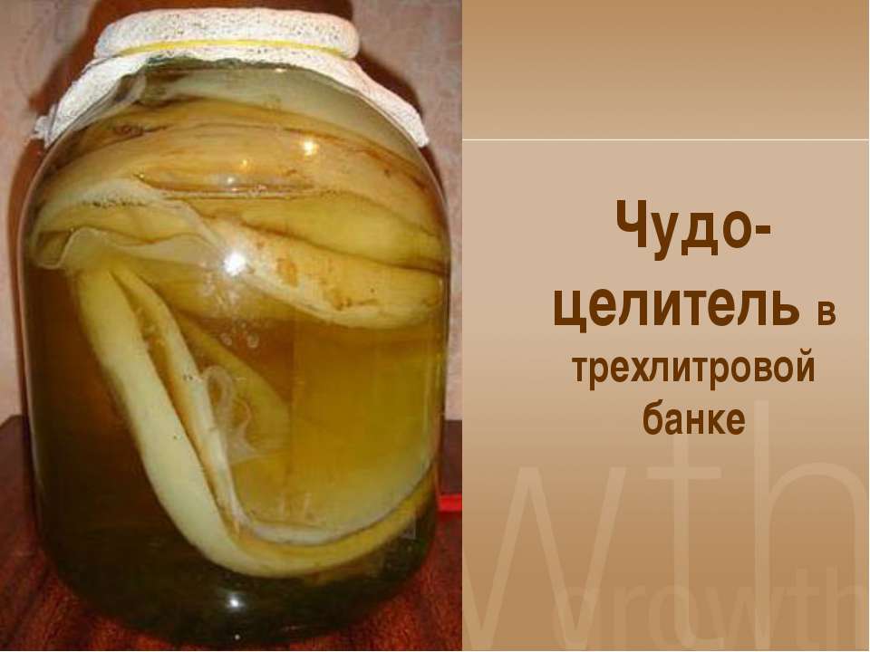 Чудо-целитель в трехлитровой банке - Скачать презентации бесплатно ☑ Презентации по предметам на gdz-books.ru
