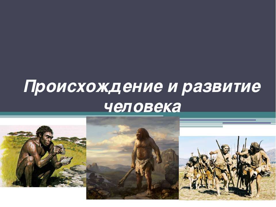 Происхождение и развитие человека  - Скачать презентации бесплатно | Читать или скачать учебники для школы онлайн бесплатно ☑ Школьные учебники school-textbook.com