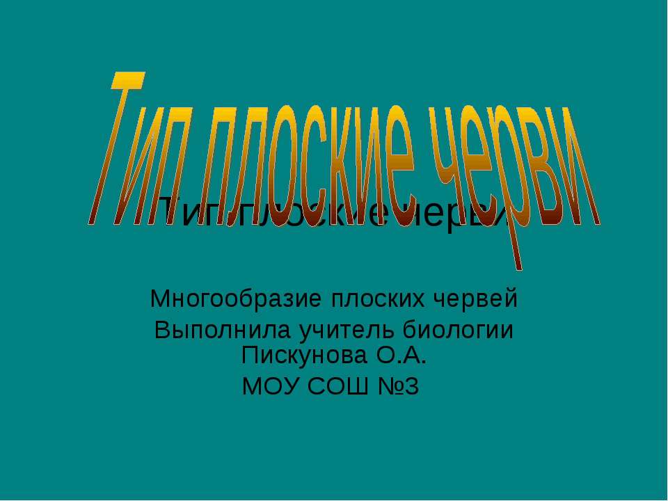 Тип плоские черви  - Скачать презентации бесплатно | Читать или скачать учебники для школы онлайн бесплатно ☑ Школьные учебники school-textbook.com
