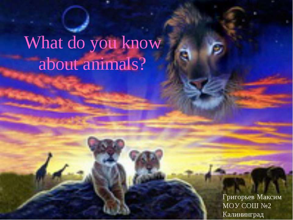 What do you know about animals?  - Скачать презентации бесплатно | Читать или скачать учебники для школы онлайн бесплатно ☑ Школьные учебники school-textbook.com