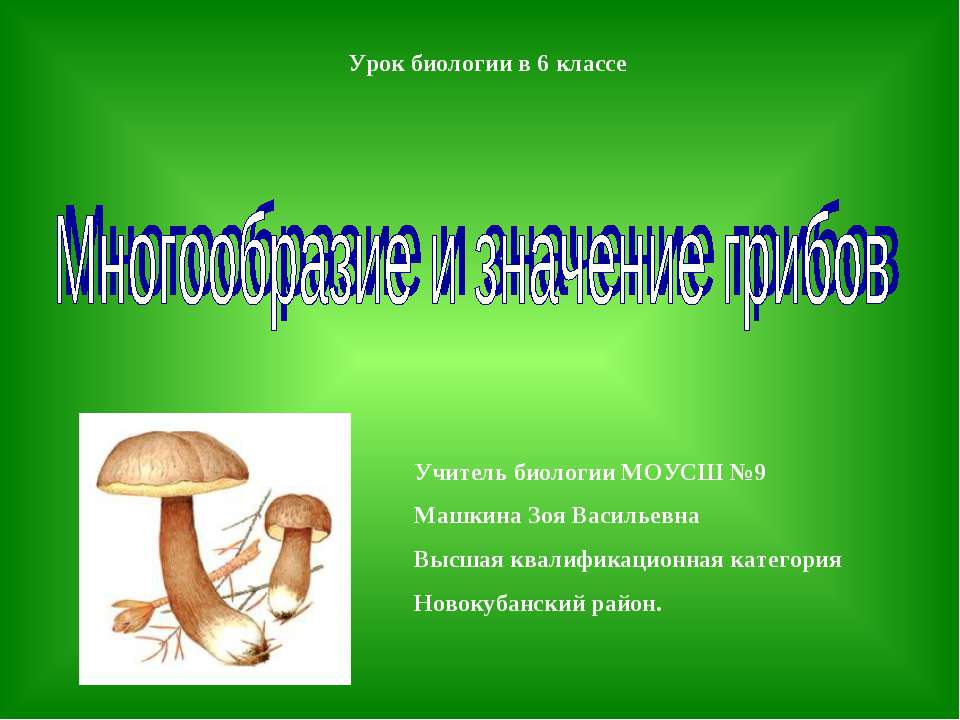 Многообразие и значение грибов - Скачать презентации бесплатно ☑ Презентации по предметам на gdz-books.ru