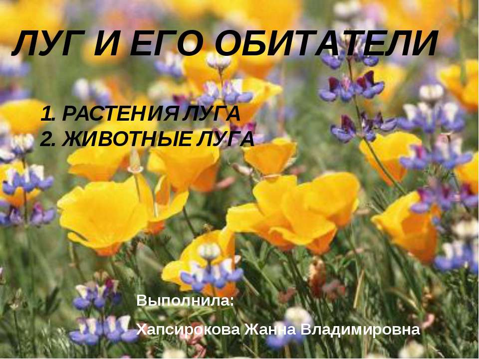 Луг и его обитатели  - Скачать презентации бесплатно | Читать или скачать учебники для школы онлайн бесплатно ☑ Школьные учебники school-textbook.com