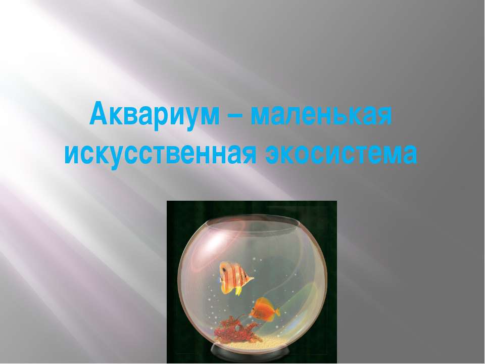 Аквариум-маленькая искусственная экосистема  - Скачать презентации бесплатно | Читать или скачать учебники для школы онлайн бесплатно ☑ Школьные учебники school-textbook.com