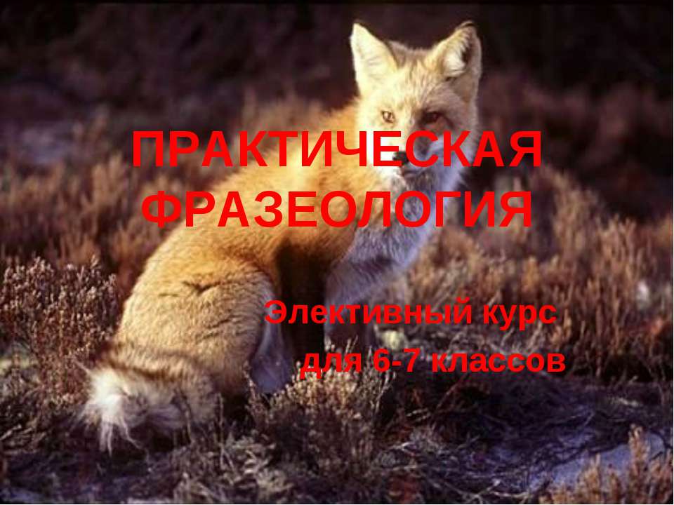 Практическая фразеология 6-7 класс  - Скачать презентации бесплатно | Читать или скачать учебники для школы онлайн бесплатно ☑ Школьные учебники school-textbook.com