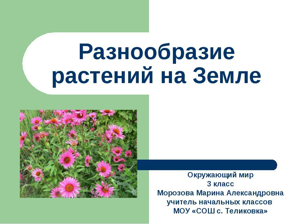 Разнообразие растений на Земле  - Скачать презентации бесплатно | Читать или скачать учебники для школы онлайн бесплатно ☑ Школьные учебники school-textbook.com