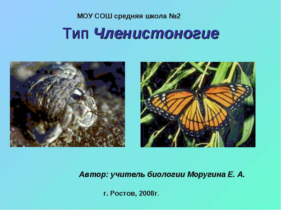 Тип Членистоногие - Скачать презентации бесплатно ☑ Презентации по предметам на gdz-books.ru
