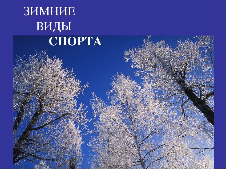 Зимние виды спорта  - Скачать презентации бесплатно | Читать или скачать учебники для школы онлайн бесплатно ☑ Школьные учебники school-textbook.com