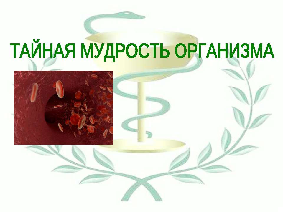 Тайная мудрость организма  - Скачать презентации бесплатно | Читать или скачать учебники для школы онлайн бесплатно ☑ Школьные учебники school-textbook.com