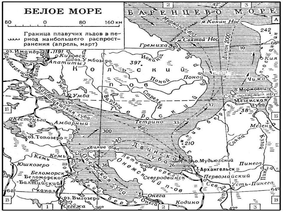 Белое море - Скачать презентации бесплатно ☑ Презентации по предметам на gdz-books.ru