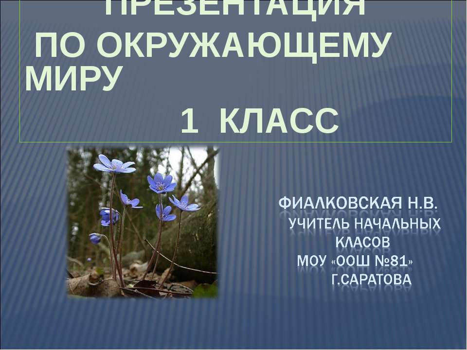 Что общего у разных растений? - Скачать презентации бесплатно ☑ Презентации по предметам на gdz-books.ru