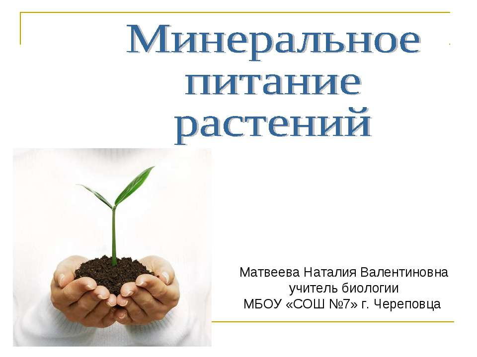 Минеральное питание растений - Скачать презентации бесплатно ☑ Презентации по предметам на gdz-books.ru