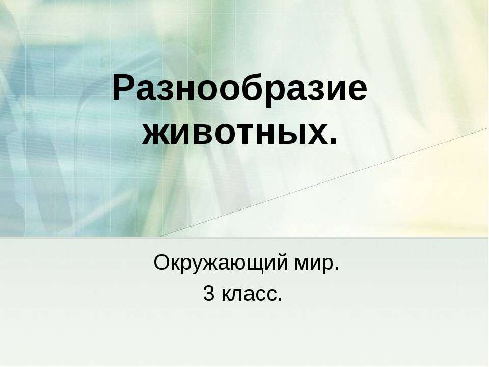 Разнообразие животных  - Скачать презентации бесплатно | Читать или скачать учебники для школы онлайн бесплатно ☑ Школьные учебники school-textbook.com