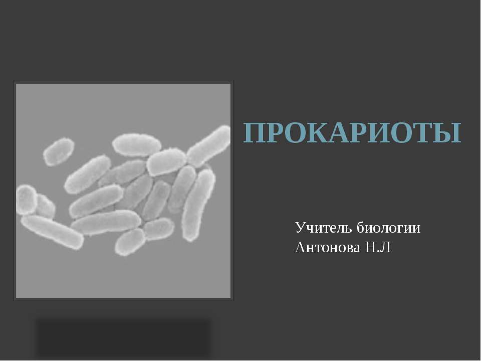 Прокариоты - Скачать презентации бесплатно ☑ Презентации по предметам на gdz-books.ru