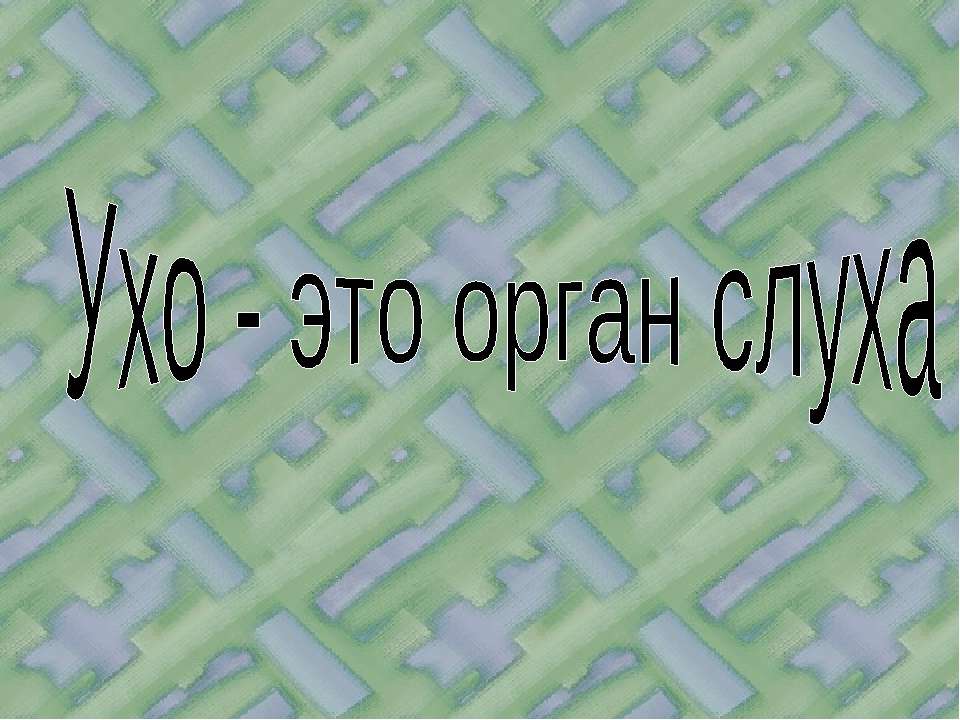 Ухо - это орган слуха  - Скачать презентации бесплатно | Читать или скачать учебники для школы онлайн бесплатно ☑ Школьные учебники school-textbook.com