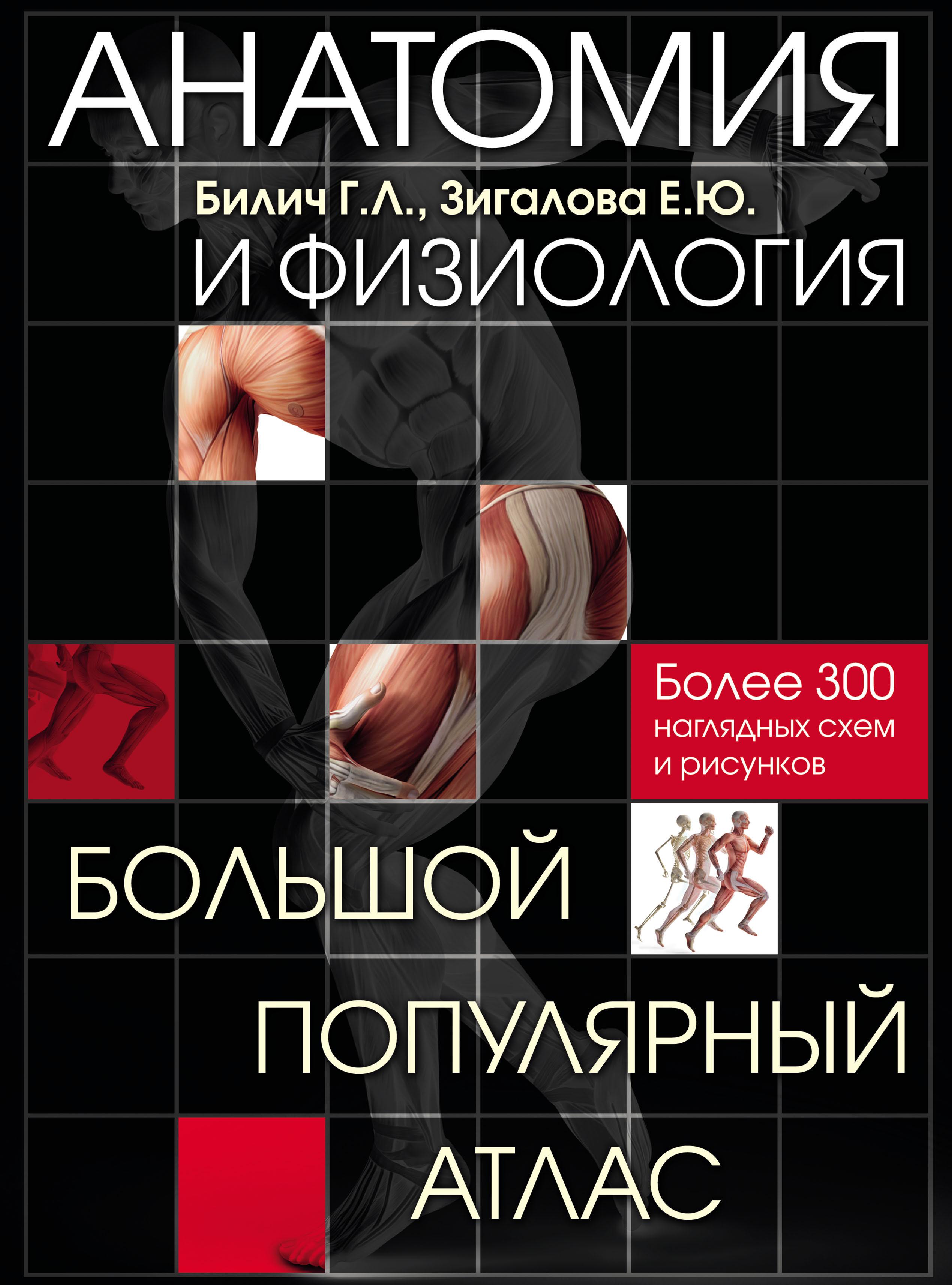 Анатомия и физиология. Большой популярный атлас. Билич Г.Л. - Читать или скачать учебники для школы онлайн бесплатно | Школьные учебники ┃ Учебники для студентов на gdz-books.ru
