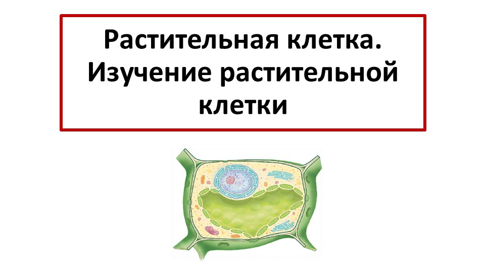 Презентация 6 класс "Растительная клетка"  - Скачать презентации бесплатно | Читать или скачать учебники для школы онлайн бесплатно ☑ Школьные учебники school-textbook.com