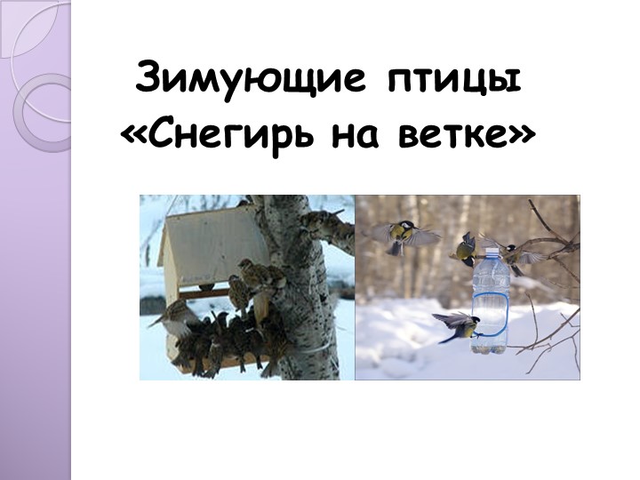 Презентация к занятию по художественно-эстетическому развитию "снегирь на ветке". - Скачать презентации бесплатно ☑ Презентации по предметам на gdz-books.ru
