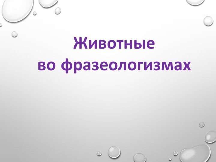 Презентация по развитию речи для детей с умственной отсталостью на тему "Животные во фразеологизмах" (6 класс).  - Скачать презентации бесплатно | Читать или скачать учебники для школы онлайн бесплатно ☑ Школьные учебники school-textbook.com