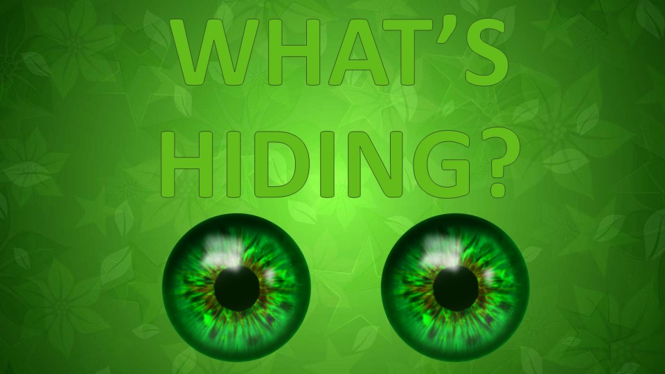 Презентация "What is hiding?" - Скачать презентации бесплатно ☑ Презентации по предметам на gdz-books.ru