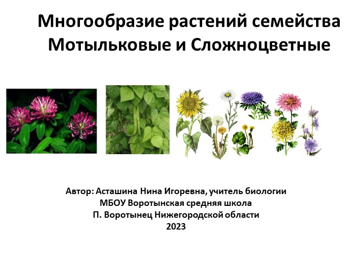 Презентация по биологии на тему "Многообразие растений семейств Бобовые и Сложноцветные" - Скачать презентации бесплатно ☑ Презентации по предметам на gdz-books.ru