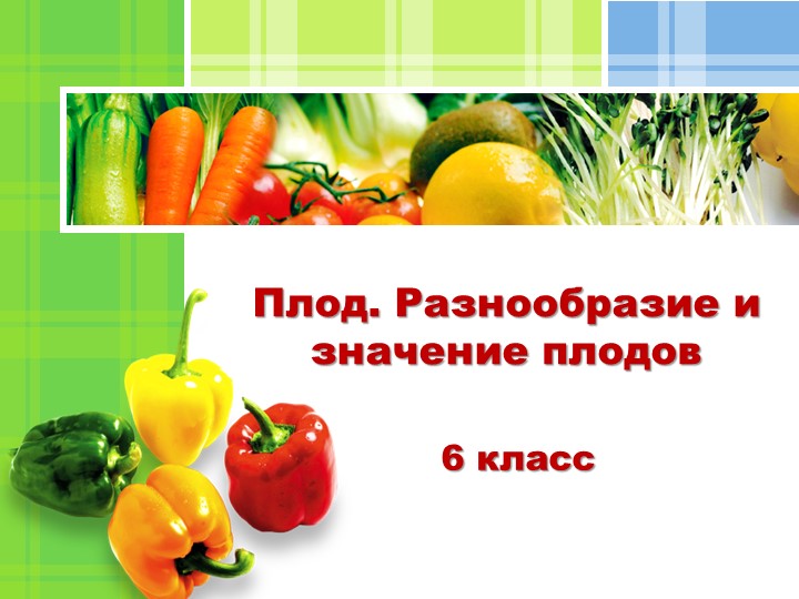 Презентация по биологии 6 класс - Скачать презентации бесплатно ☑ Презентации по предметам на gdz-books.ru