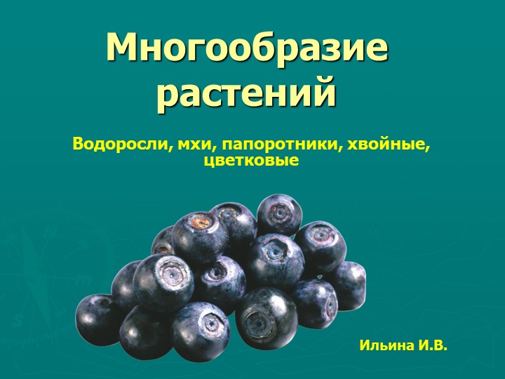 Презентация по окружающему миру " Многообразие животных " 3 класс - Скачать презентации бесплатно ☑ Презентации по предметам на gdz-books.ru