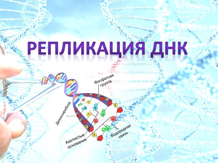 Презентация по биологии "Репликация ДНК" - Скачать презентации бесплатно ☑ Презентации по предметам на gdz-books.ru
