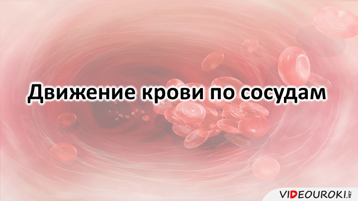 Презентация "Движение крови по сосудам" - Скачать презентации бесплатно ☑ Презентации по предметам на gdz-books.ru