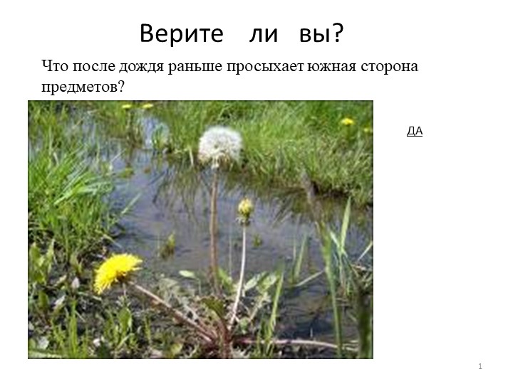 Презентация по окружающему миру "Знаете ли вы" - Скачать презентации бесплатно ☑ Презентации по предметам на gdz-books.ru